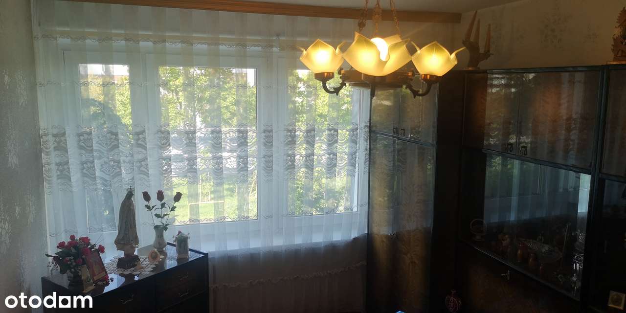 3 lub 4 pokoje, blisko komunikacji PST - Pełny obrazek: 5/8