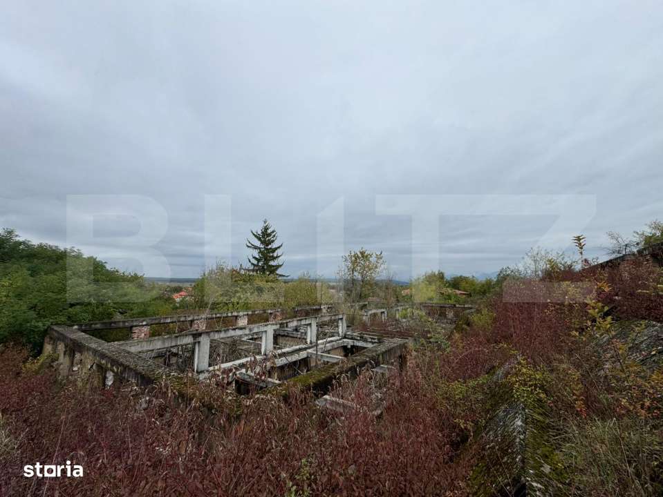 Teren intravilan 7362 mp, Oportunitate de investitie, - Imagine principală: 2/5