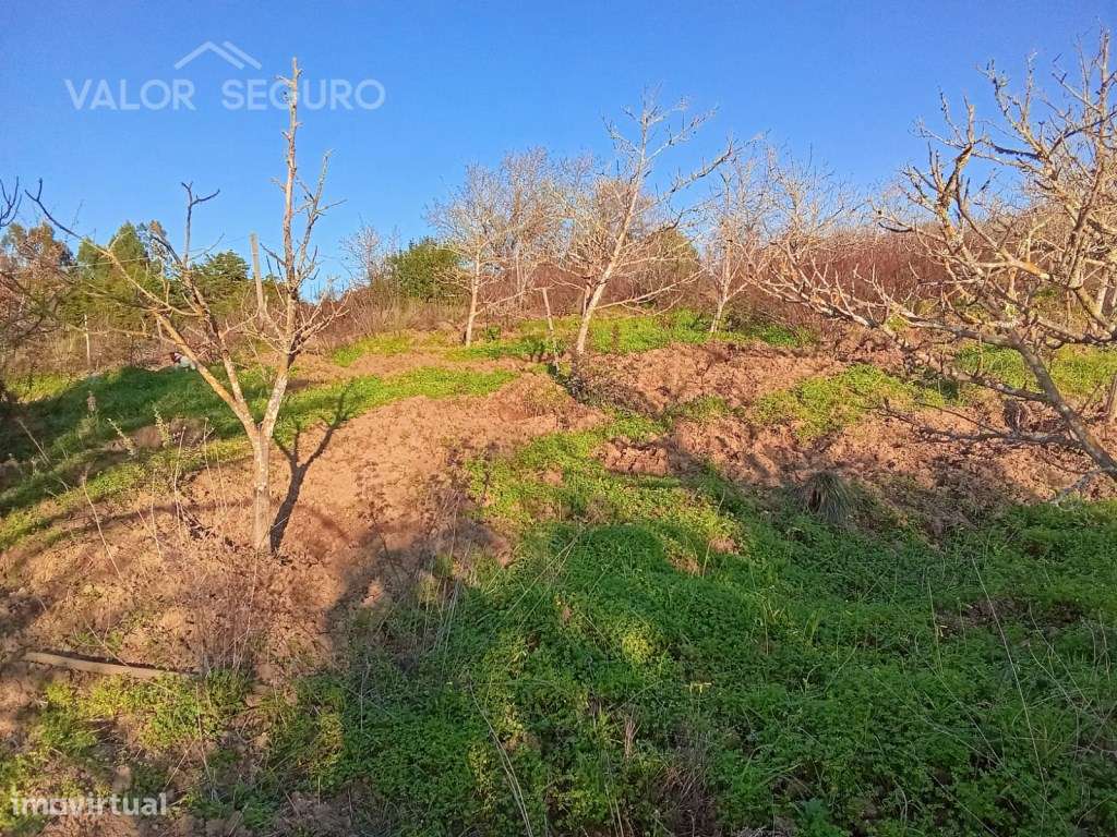 Terreno rústico em Vale Serrão, Pereiro de Palhacana, Alenquer-20