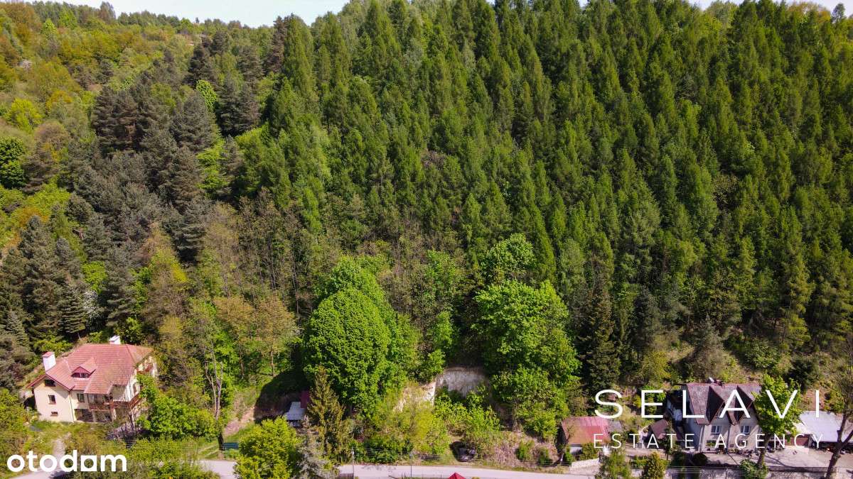 Działka z Pnb i księgą budowy | ogromny las | Park - Pełny obrazek: 4/16