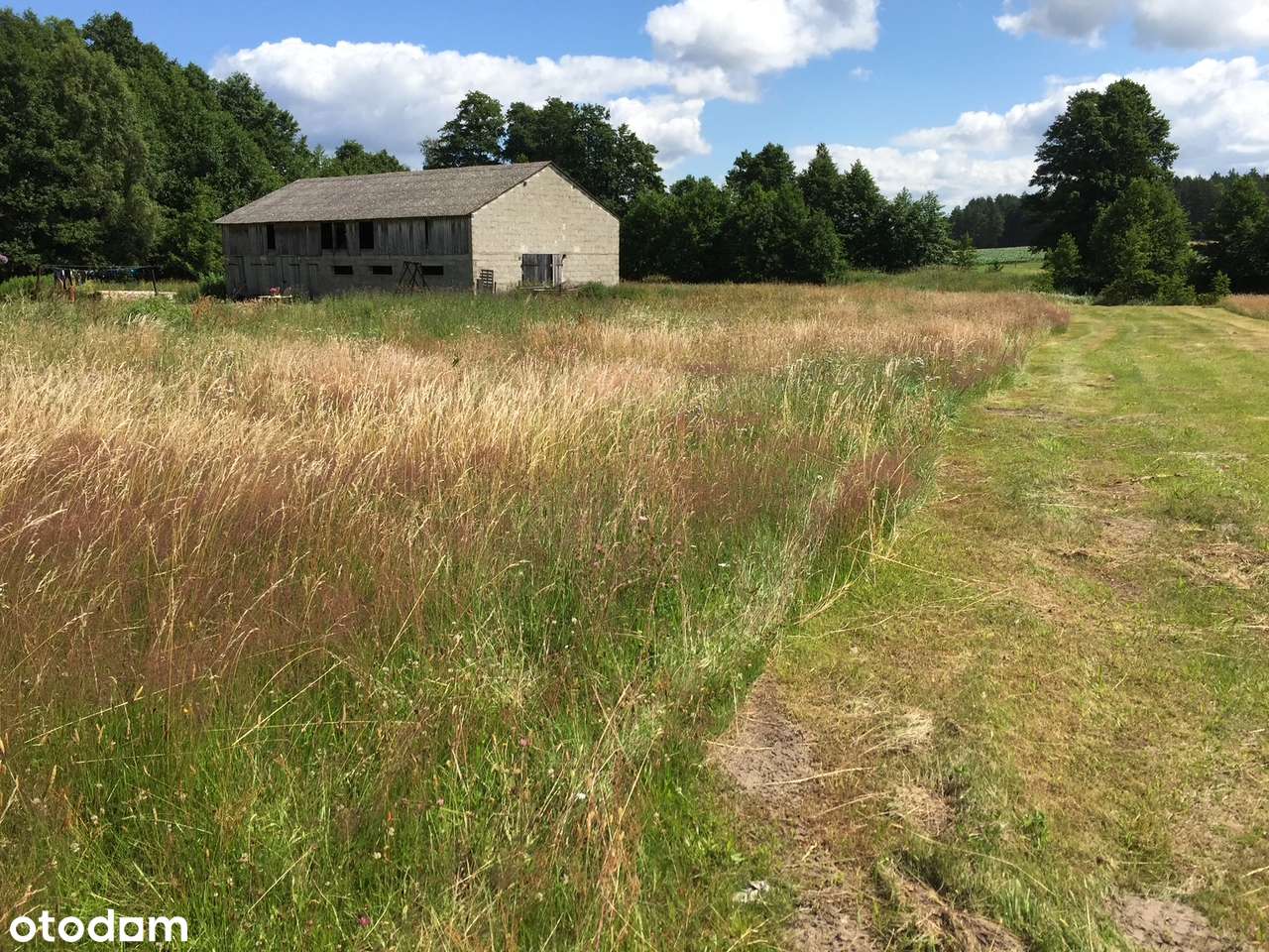Działka budowlana z bezpośrednim dostępem do rzeki Wda z bud. gosp. - Pełny obrazek: 4/8