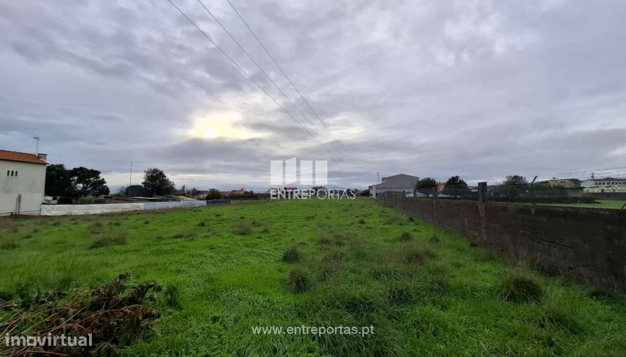 Venda de Terreno p/construção, c/6800m2, em Gião, Vila do Conde - Grande imagem: 4/5