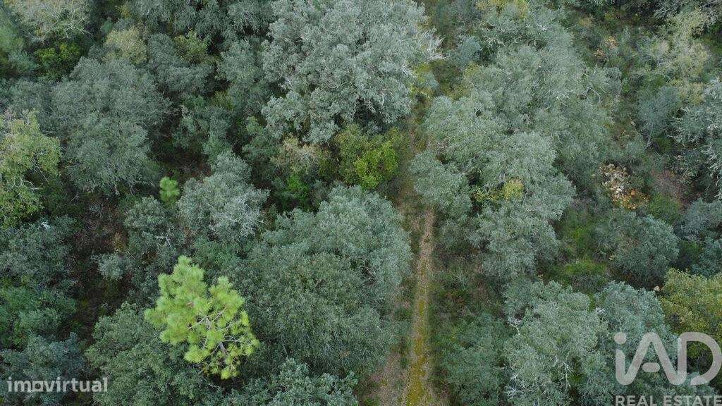 Terreno em Areias e Pias de 1080,00 m2 - Grande imagem: 4/21