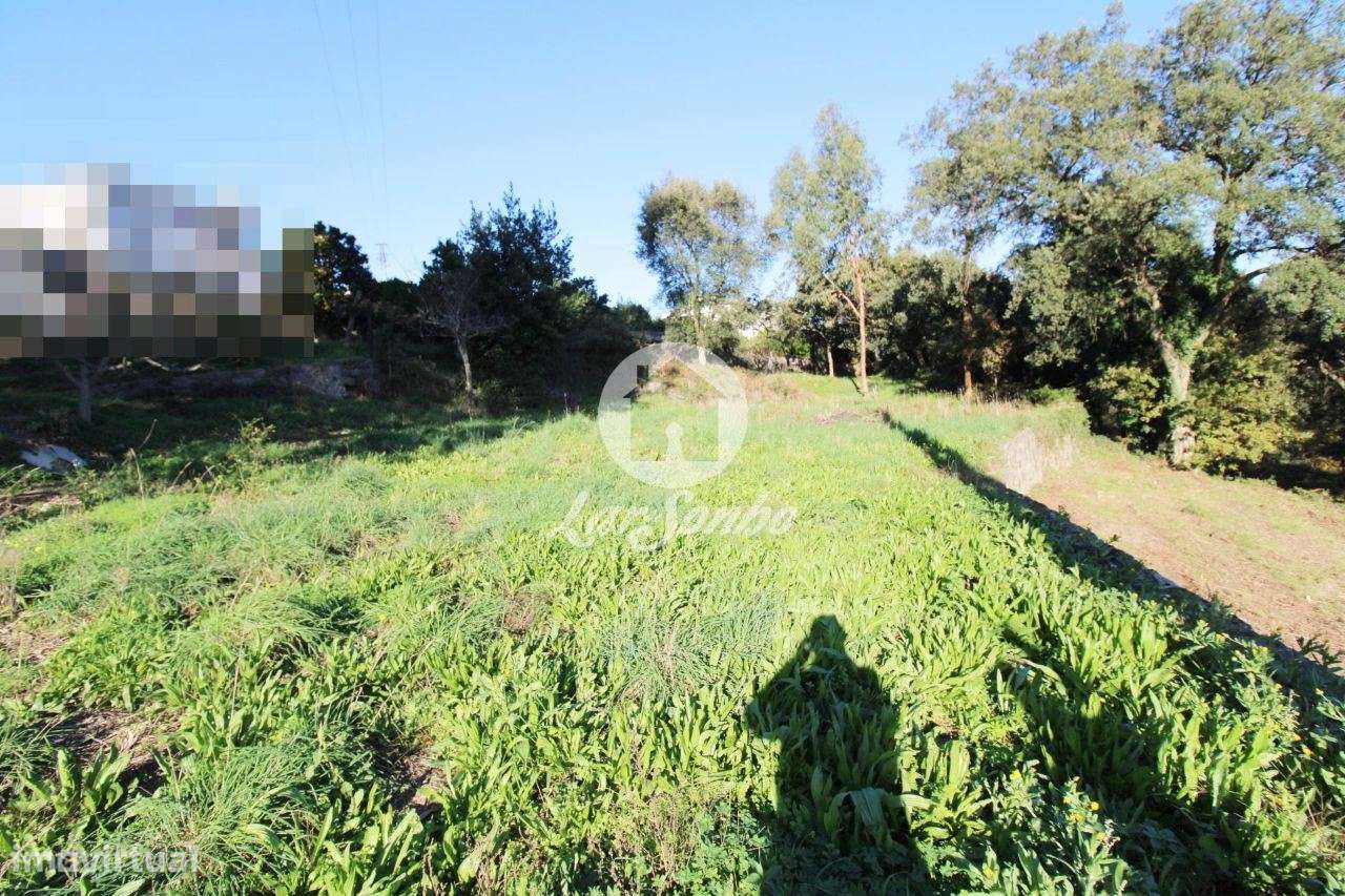 Terreno para construção de moradia c/ 2000m2 em Sequeiró, Stº Tirso - Grande imagem: 5/10