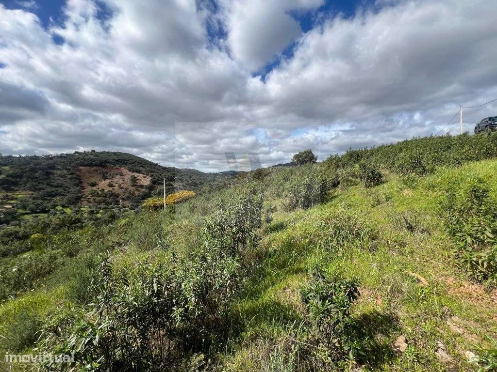 Terreno Rústico com Vista Incrível sobre a Serra Algarvia - Grande imagem: 3/18