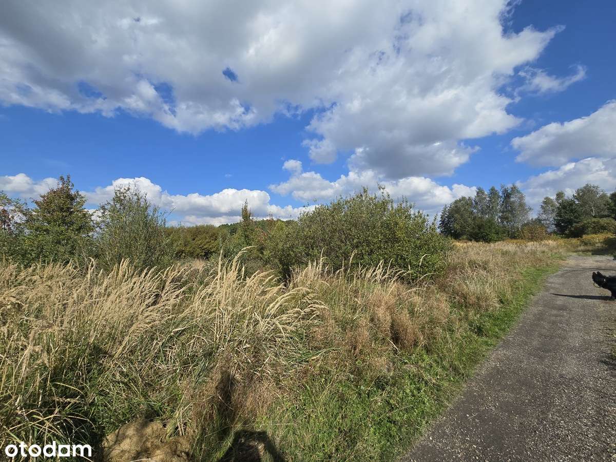 Preczów, działka budowlana, media przy działce, plan zagospodarowania - Pełny obrazek: 4/10