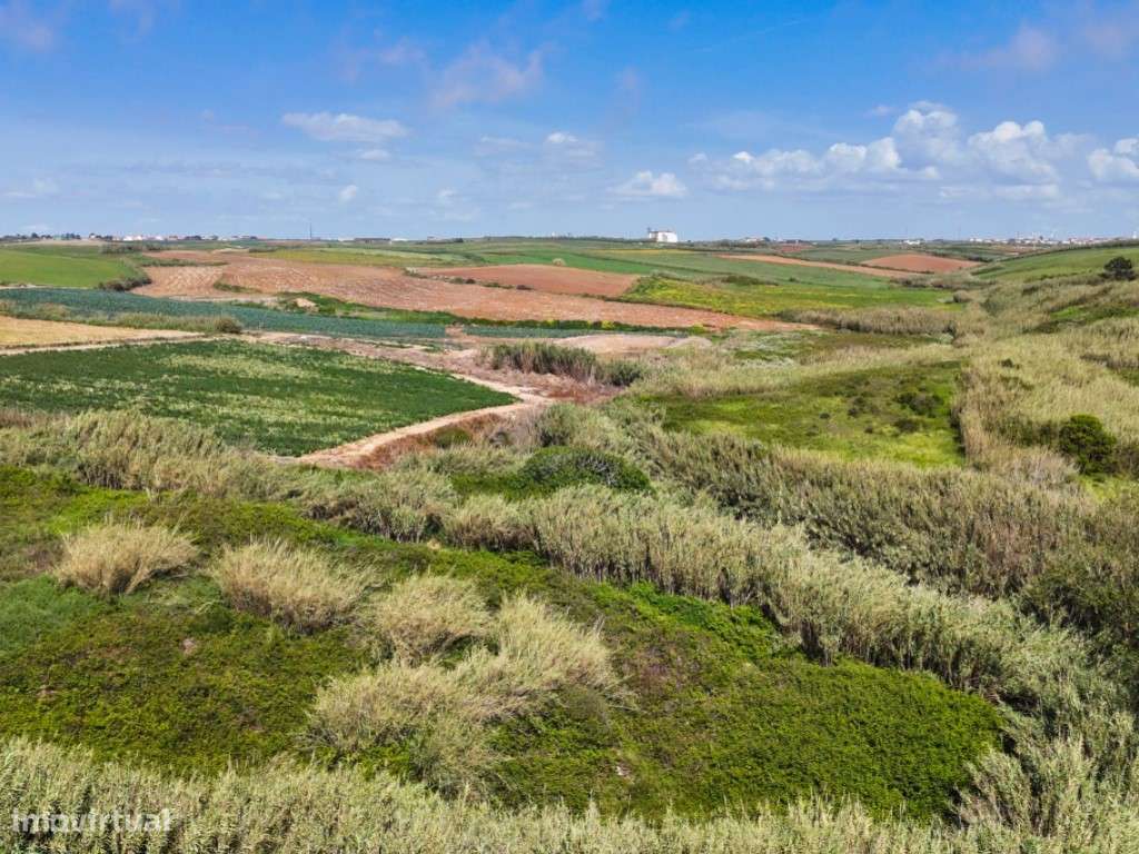 Venda de 2 Terrenos Agrícolas na zona do Paimogo, Lourinhã-26