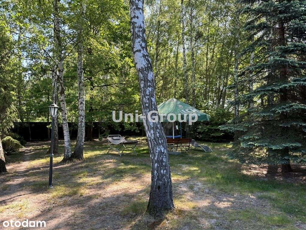 Idealnie Cichy, Wolnostojacy, Grodzisk Mazowiecki - Pełny obrazek: 4/12