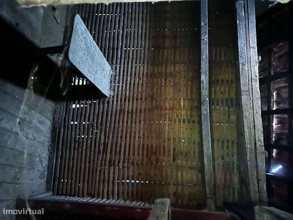 Quinta com casa em pedra para recuperar - Grande imagem: 4/40