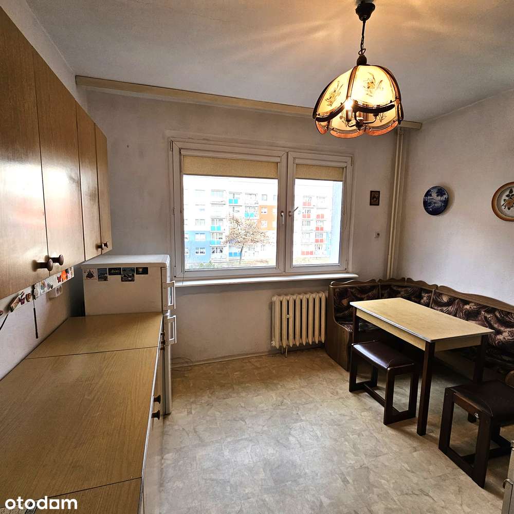 Miechowice- 2 Duże pokoje przy lesie !!! - Pełny obrazek: 3/8