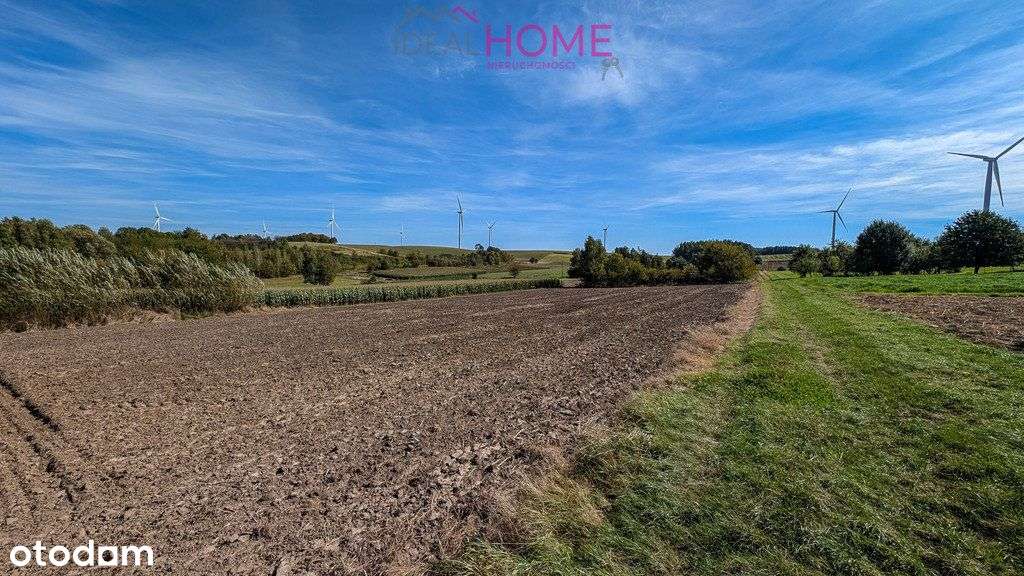 Działka rolna - Wysoka - Pełny obrazek: 4/9