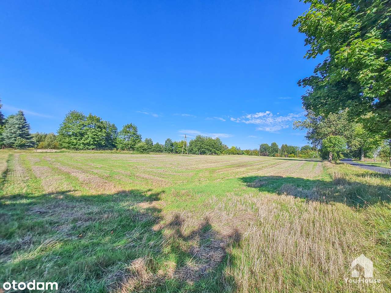 Działka budowlana 93,5 arów – Tereszewo-16