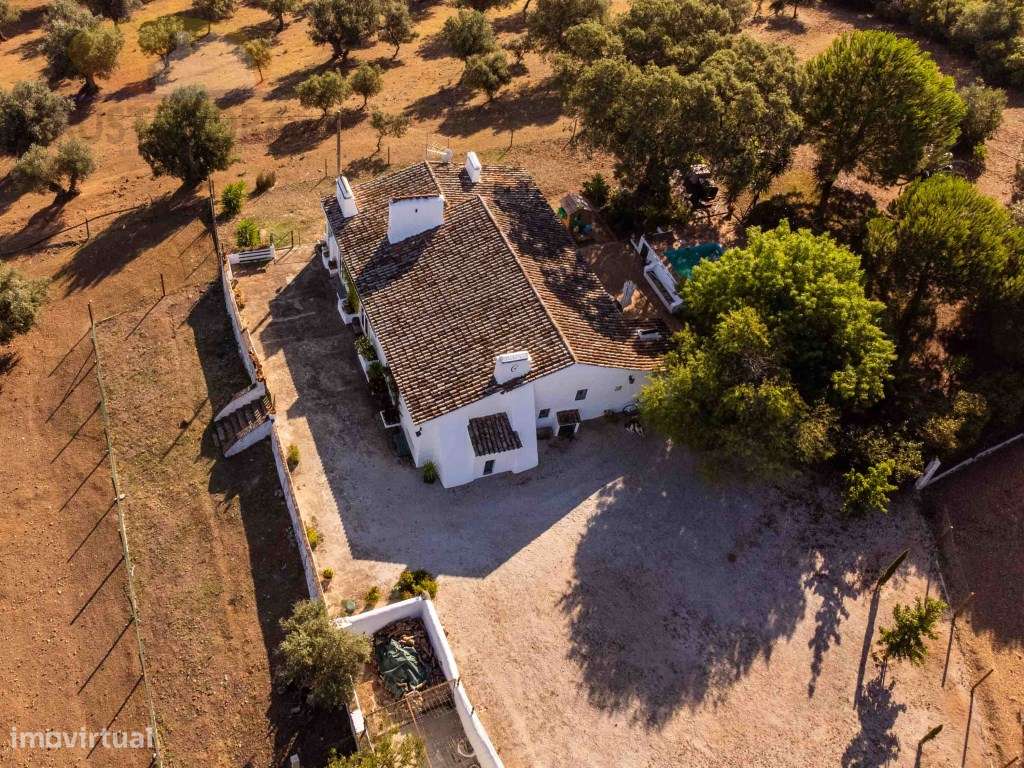 Quinta com 16 ha, com 4 Moradias Unifamiliares, piscina e várias ár...-6