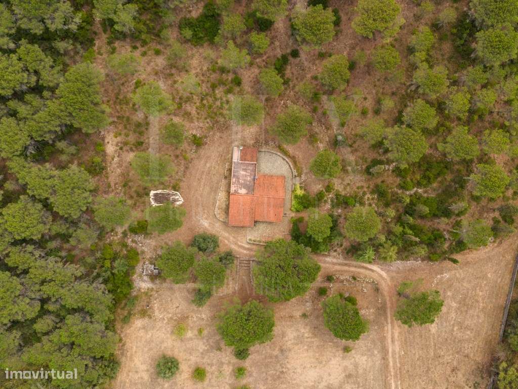 Terreno com Moradia | Vale da Fontinha, Cernache - Grande imagem: 4/38