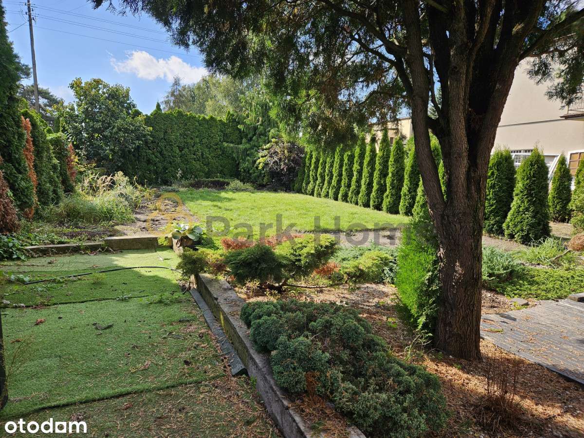 W centrum Przeźmierowa - Pełny obrazek: 3/7