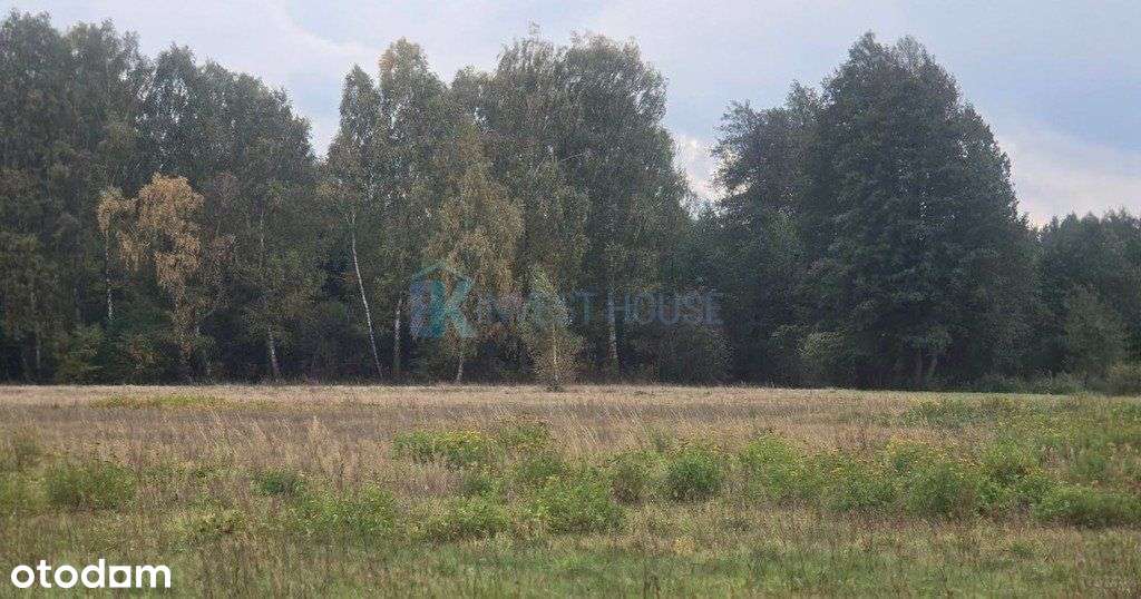 Polecam! Urocza działka, tylko 30 min jazdy doW-wa-0