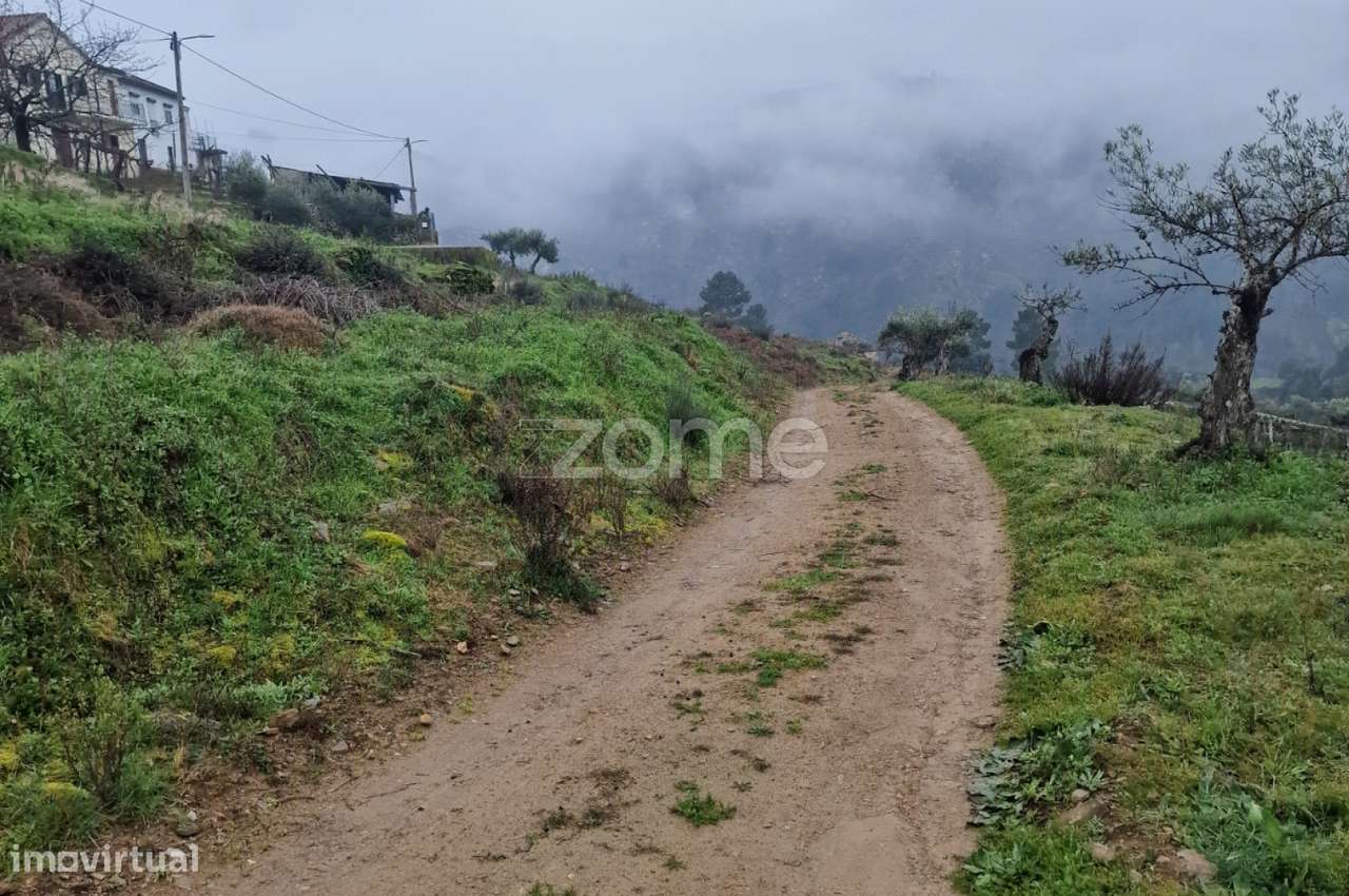Terreno rustico , lugar do Plames, Murça - Grande imagem: 4/7