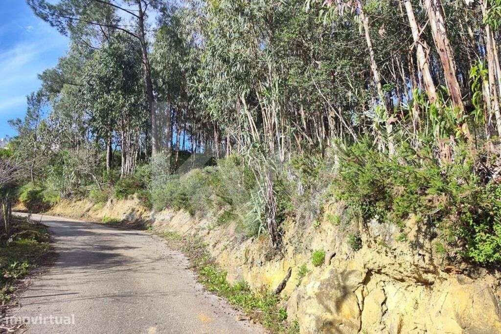 Terreno rústico florestal com vista deslumbrante - Grande imagem: 2/31