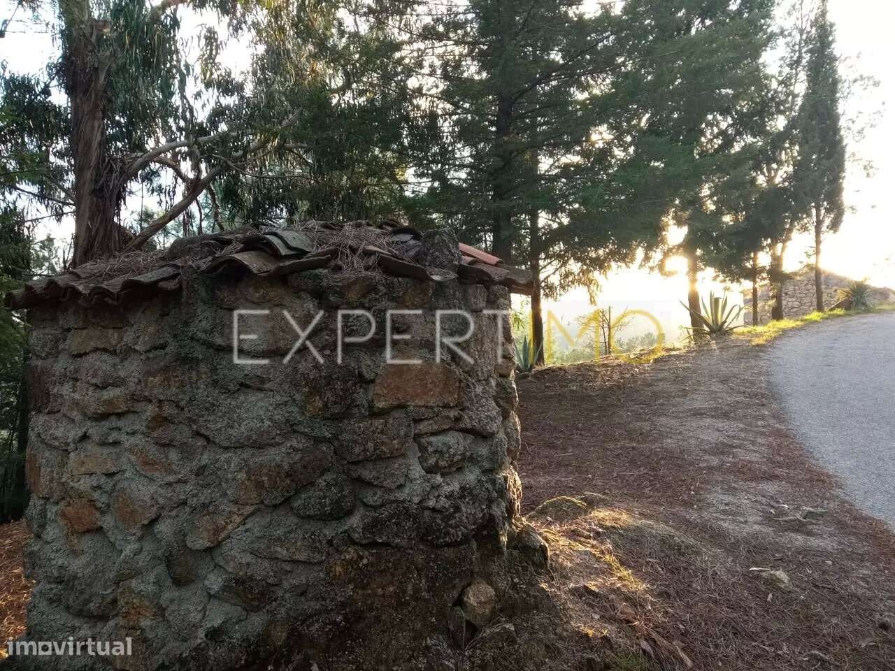 QUINTA EM SOCALCOS, paisagismo e local ideal para turismo - Guarda - Grande imagem: 3/25