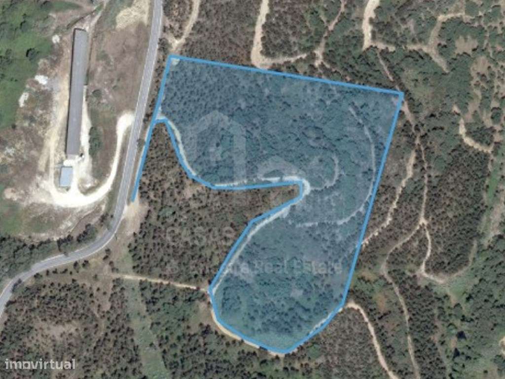 Vende Terreno - Ericeira 13 km, A Casa das Casas - Grande imagem: 4/8