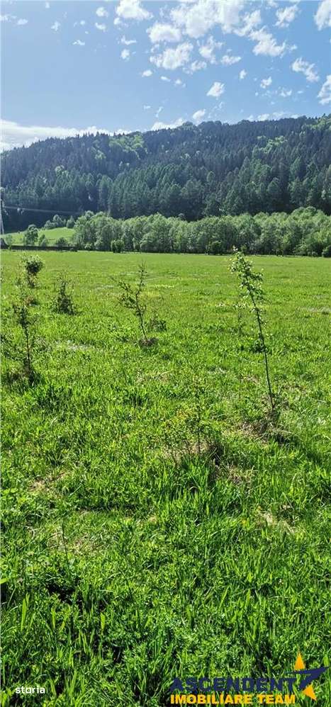 Teren cu proiect casa, in vecinatatea padurii Bradet, Sacele, Brasov - Imagine principală: 3/8