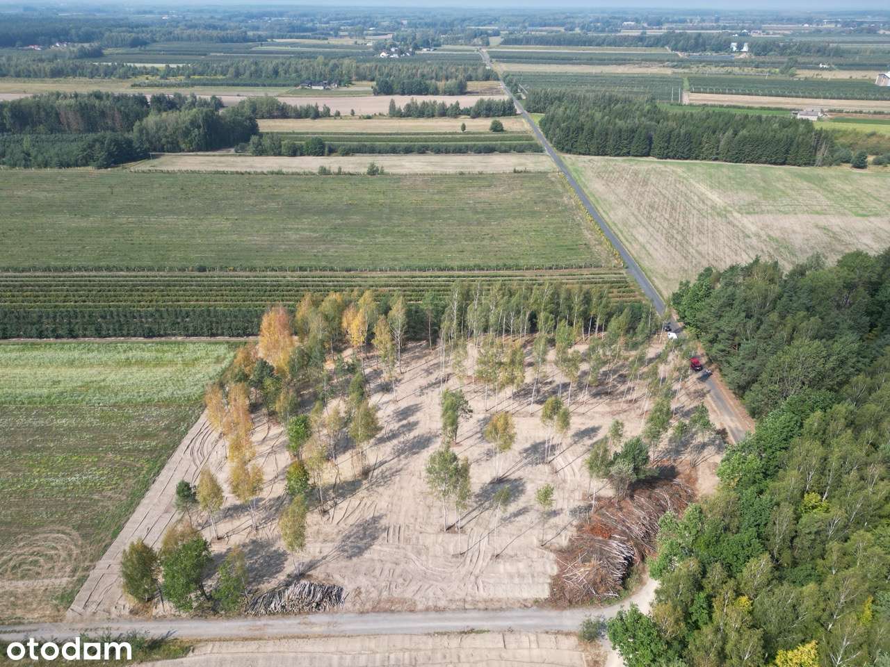 Wyjątkowe działki budowlane na sprzedaż | Zimnice-10