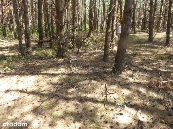 Działka, 17 400 m², Miechów - Pełny obrazek: 5/8