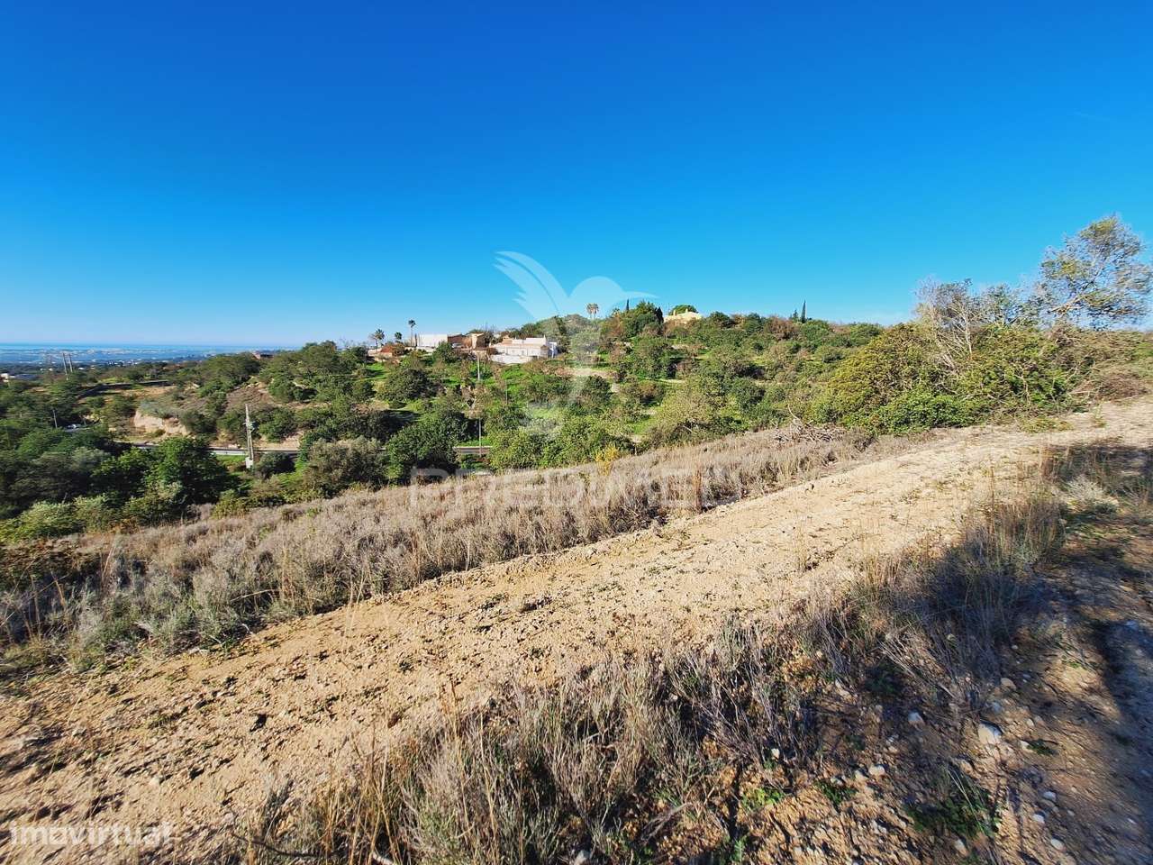 Terreno rústico em Alfontes - Boliqueime - Grande imagem: 4/28