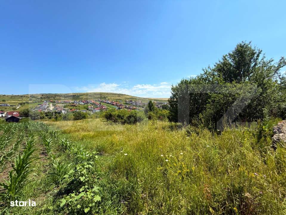 Teren intravilan – Intrare Chinteni, oportunitate de investitie - Imagine principală: 2/2