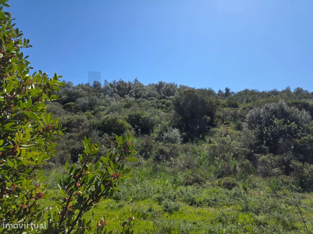 Terreno Rústico em Alcantarilha - Grande imagem: 4/16