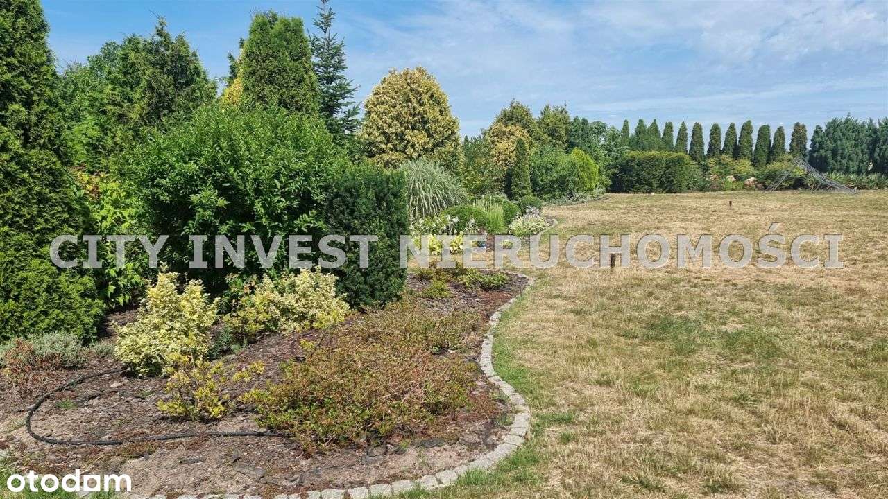 Nietuzinkowy dom z własnym dojazdem - Pełny obrazek: 4/19