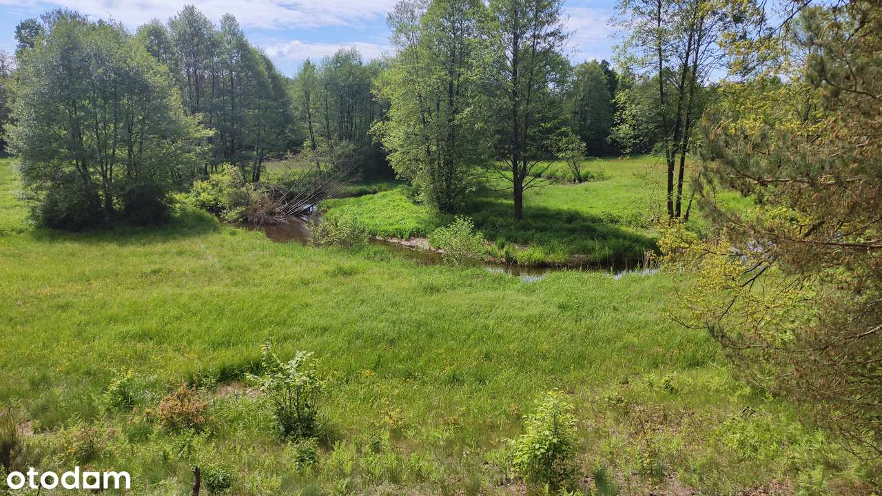 Działka na odludziu z możliwością zabudowy w pobliżu rzeki. - Pełny obrazek: 5/10