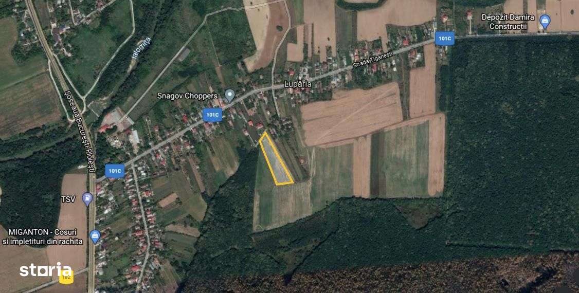 Teren 7500 m² de vanzare in Ciolpani-0