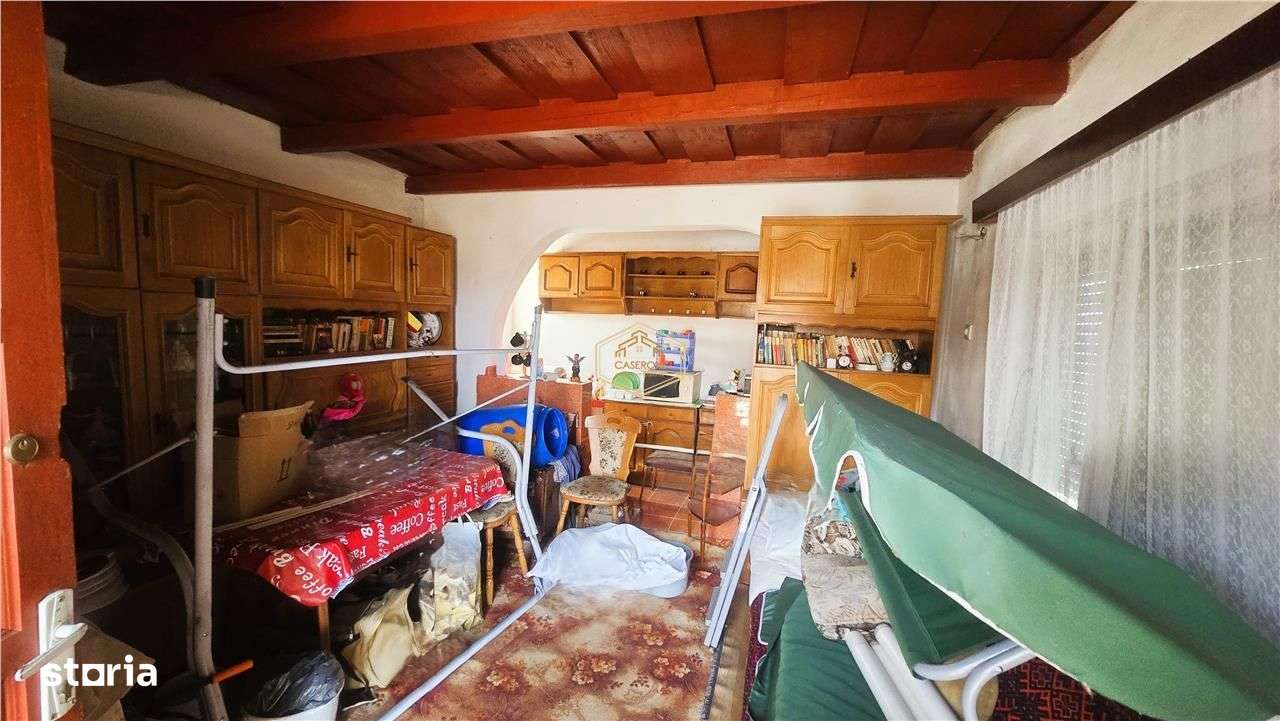 VIDEO | Teren generos, cu livada si casa de vacanta in Satu Mare-5