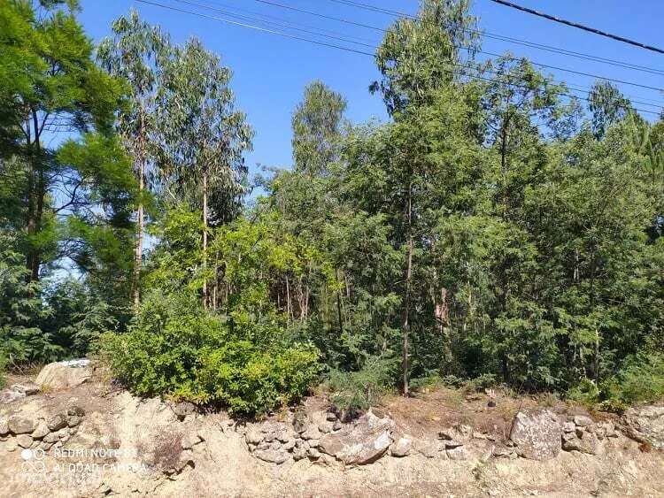 Terreno em Carregosa, Oliveira de Azeméis - Grande imagem: 2/6