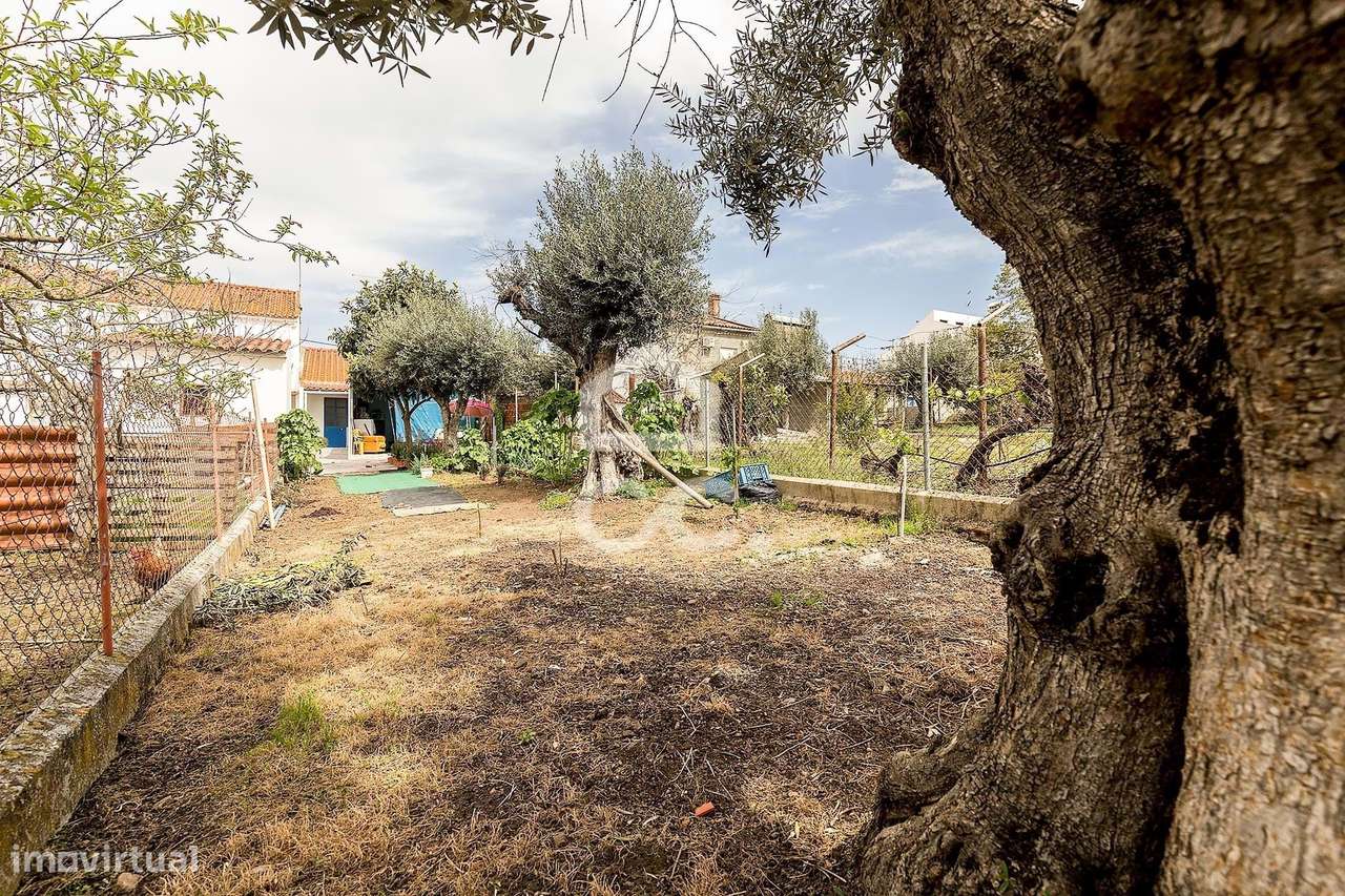 Moradia T2 c/ Quintal | Vale de Maceiras, Portalegre - Grande imagem: 4/35