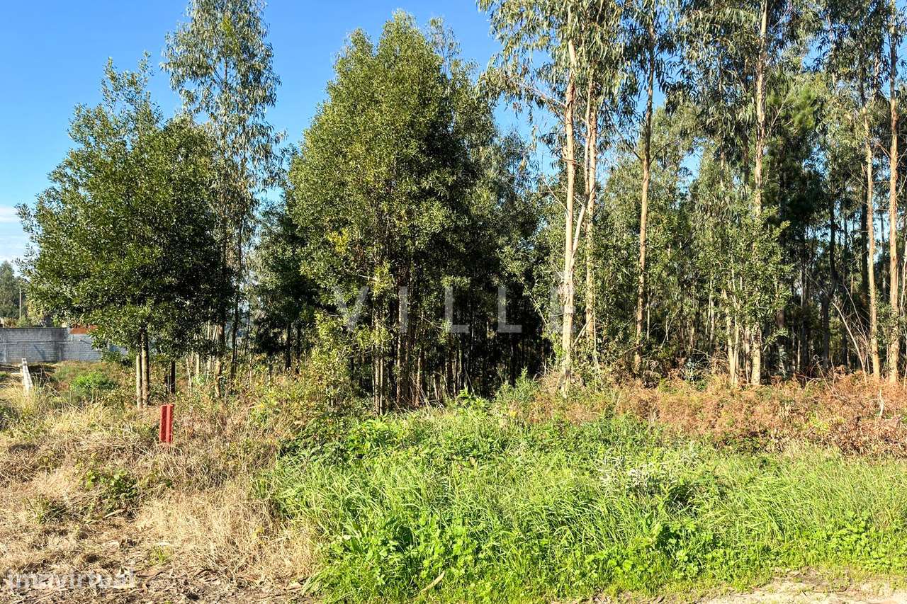 Terreno  Rústico com 1470m2 na zona de Anta Espinho - Grande imagem: 3/10