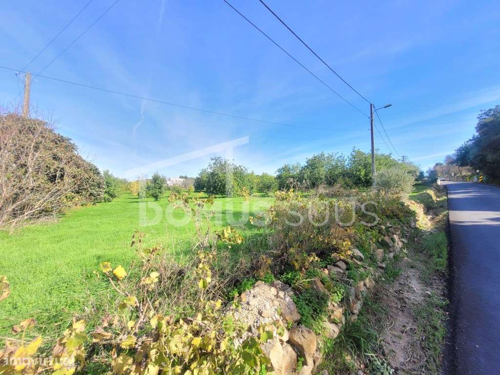 Terreno com 4200m totalmente plano com ótimas acessibilidades-1