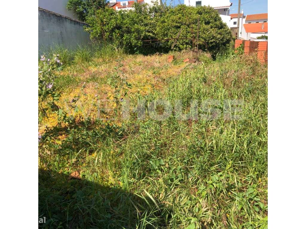 Terreno para Construção na Vila da Vidigueira - Oportunidade Única!-14
