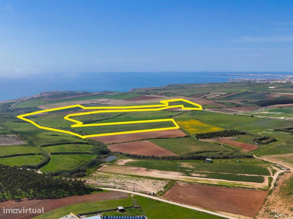 TERRENO COM 12 HECTARES NA ZONA DE PAIMOGO - LOURINHÃ - Grande imagem: 4/34