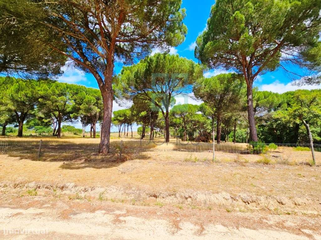 Lote de Terreno de 33.300m2, com lagoa, na Mata do Duque 1, Santo E...-12
