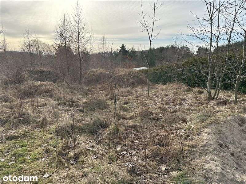 Działka budowlana - Bielkówko - Pełny obrazek: 5/11