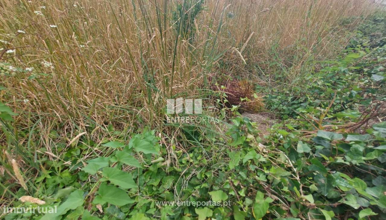 Terreno 3550 m2, Argivai, Póvoa de Varzim - Grande imagem: 3/12