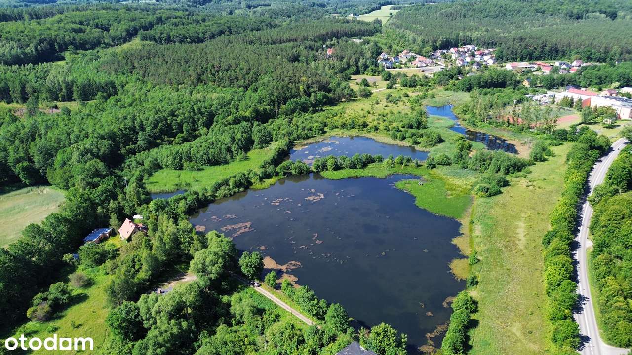 Doskonała inwestycja, stawy, grunty, młyn - Pełny obrazek: 5/7