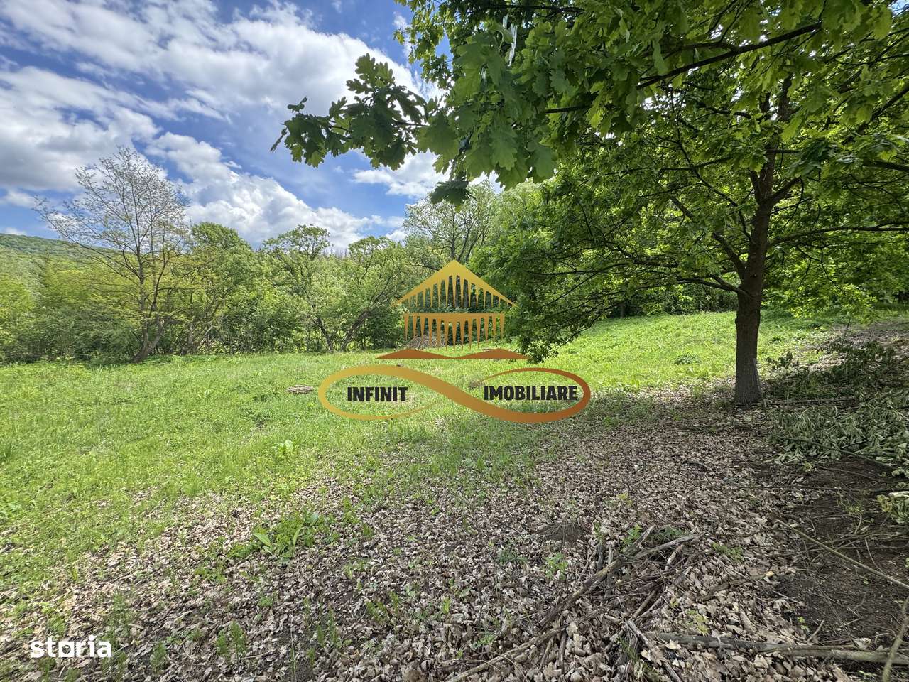 Teren intravilan | Posibilitate parcelare | Luncani-de vanzare - Imagine principală: 5/7