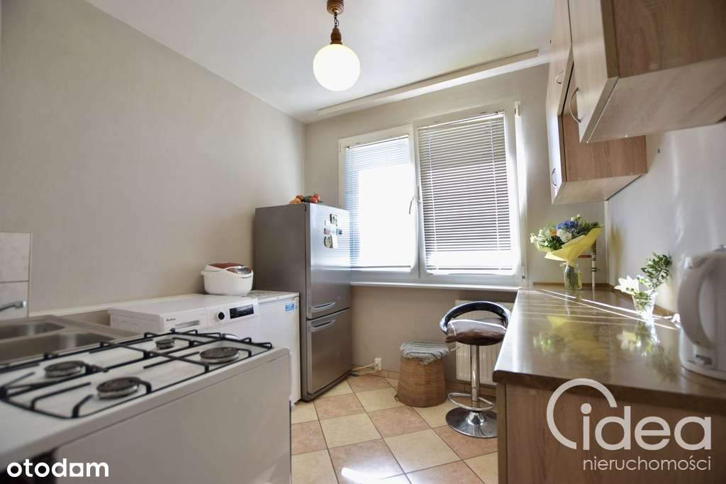 2 pokoje, wśród zieleni na Pomorzanach-2