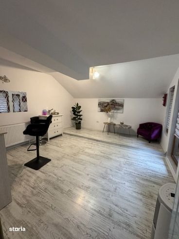 Vila P +M, strada Elena Doamna-12
