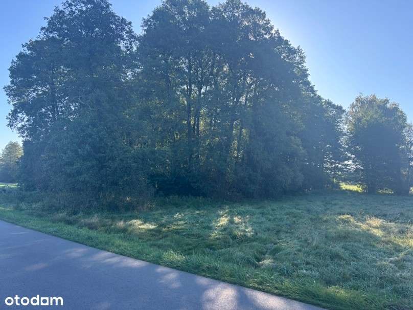Działka budowlana 2000 m2 w spokojnej okolicy-7
