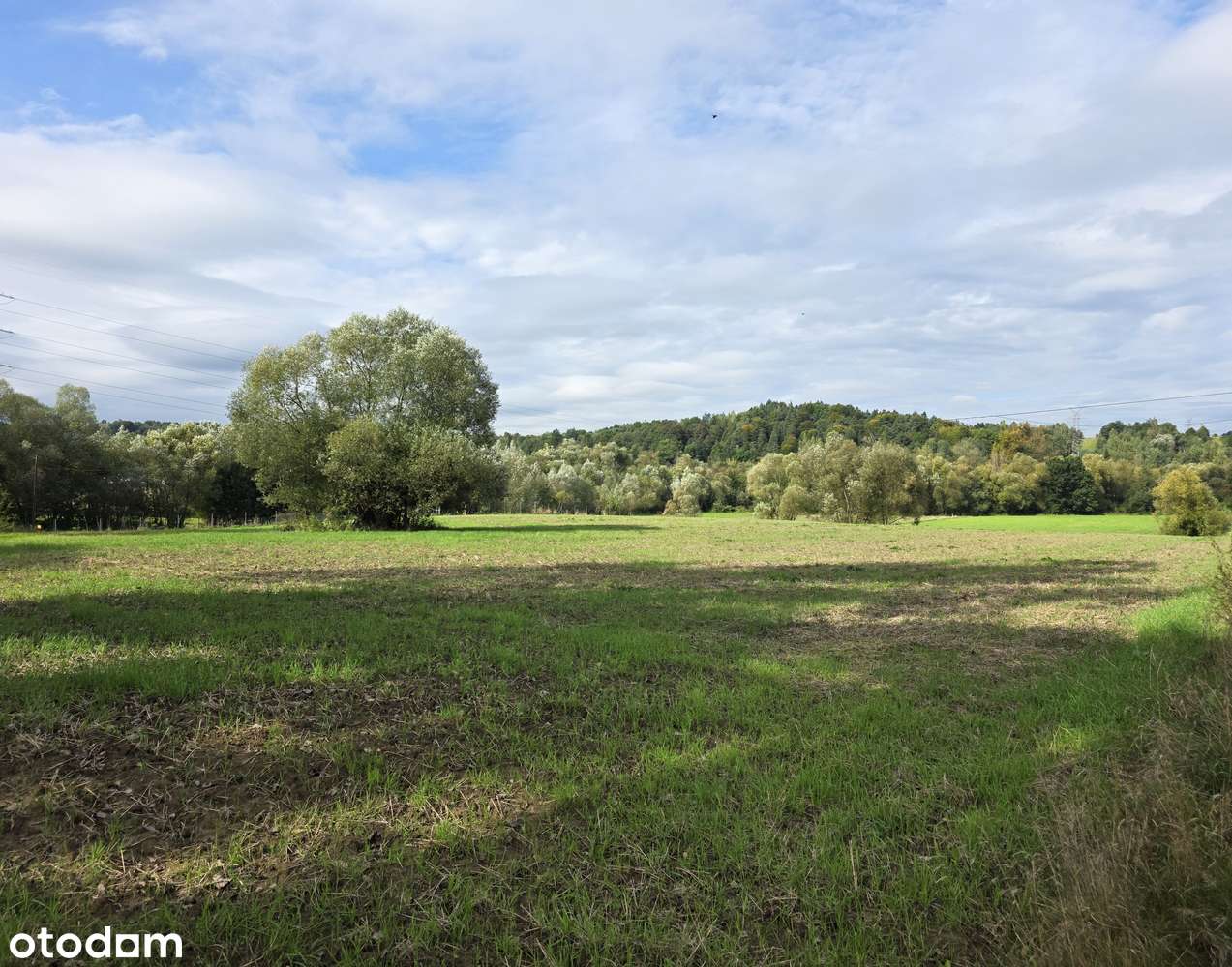 Płaska działka idealna pod iwestycję/82ary/bezpośrednio przy drodze-4