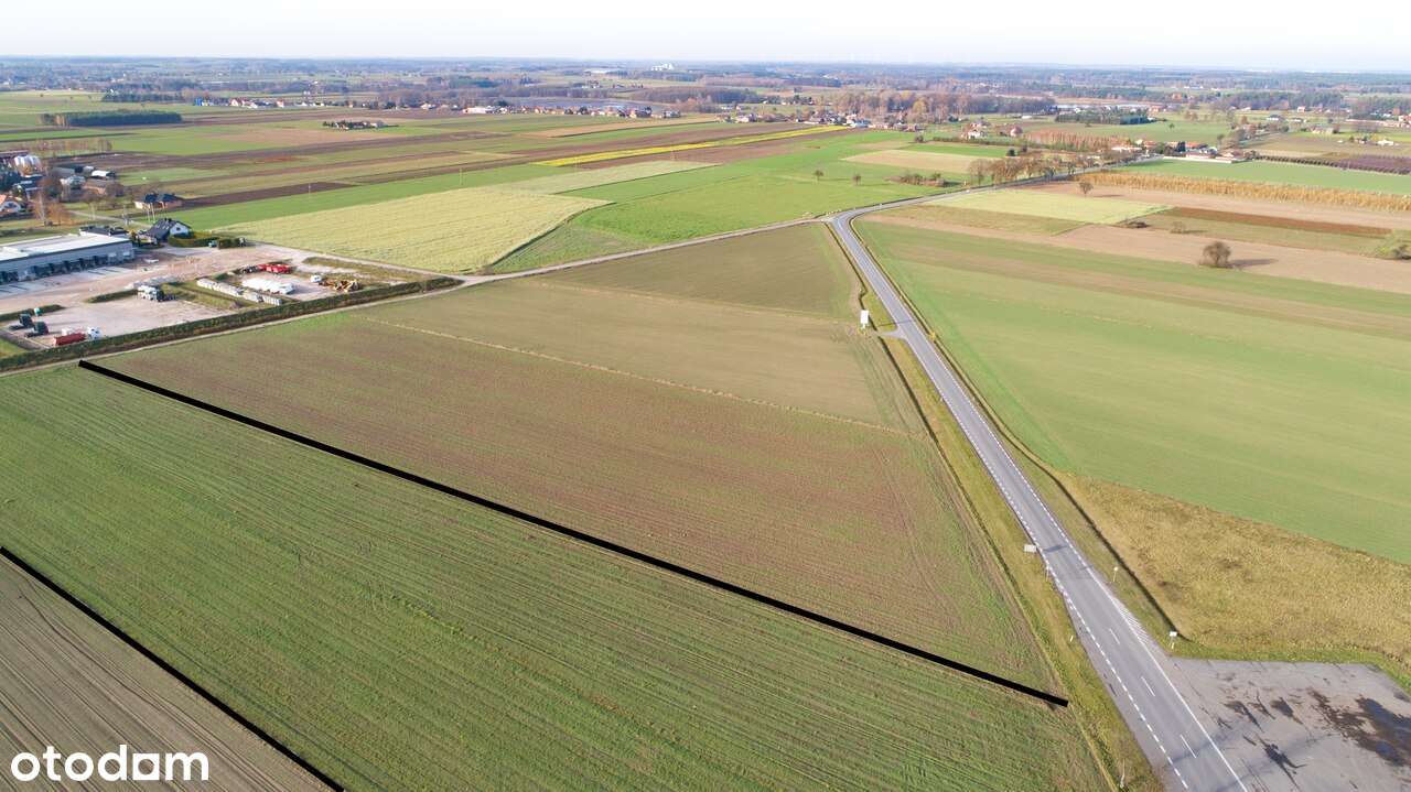 Działka inwestycyjna w Chociwiu - 12 km od S8 - Pełny obrazek: 5/6